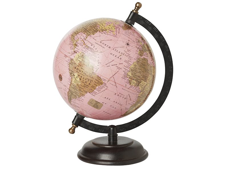 Rosa globus Rosa globus